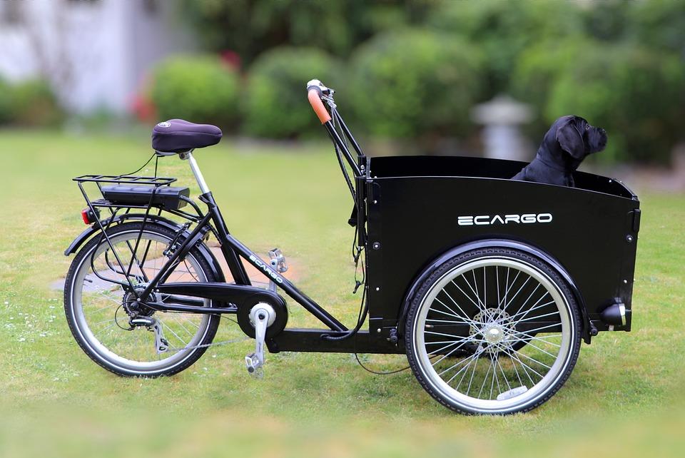 electric-cargo-bike-6401039_960_720